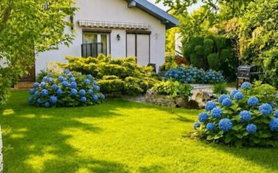 Dom 156 m² Dąbrówka – na&nbsp;sprzedaż